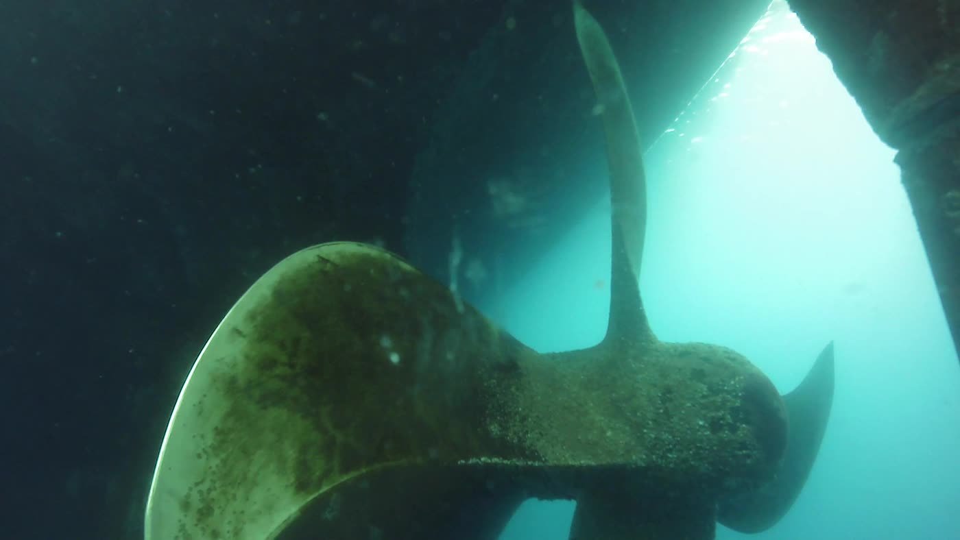 Nicho de hélice inspeccionado con ROV en aguas profundas